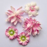 Flower Mini Series 01 - Blush
